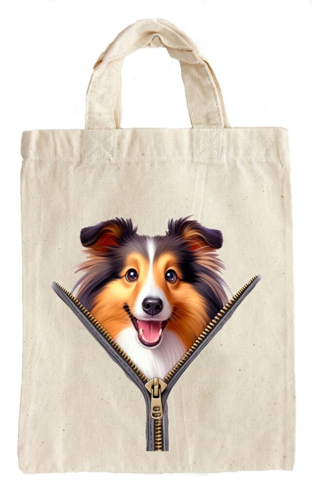 Shetland Sheepdog
