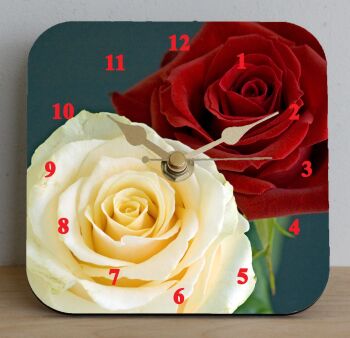 Red and White Rose