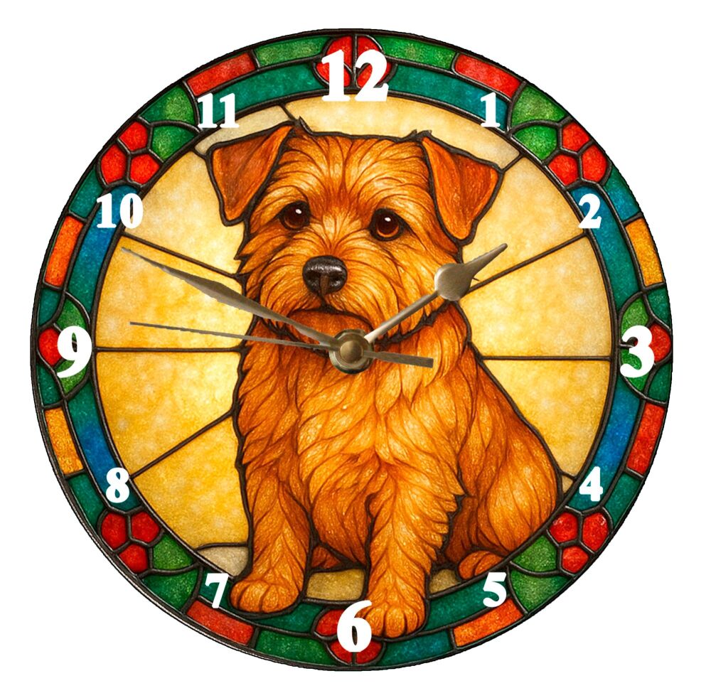 Norfolk Terrier