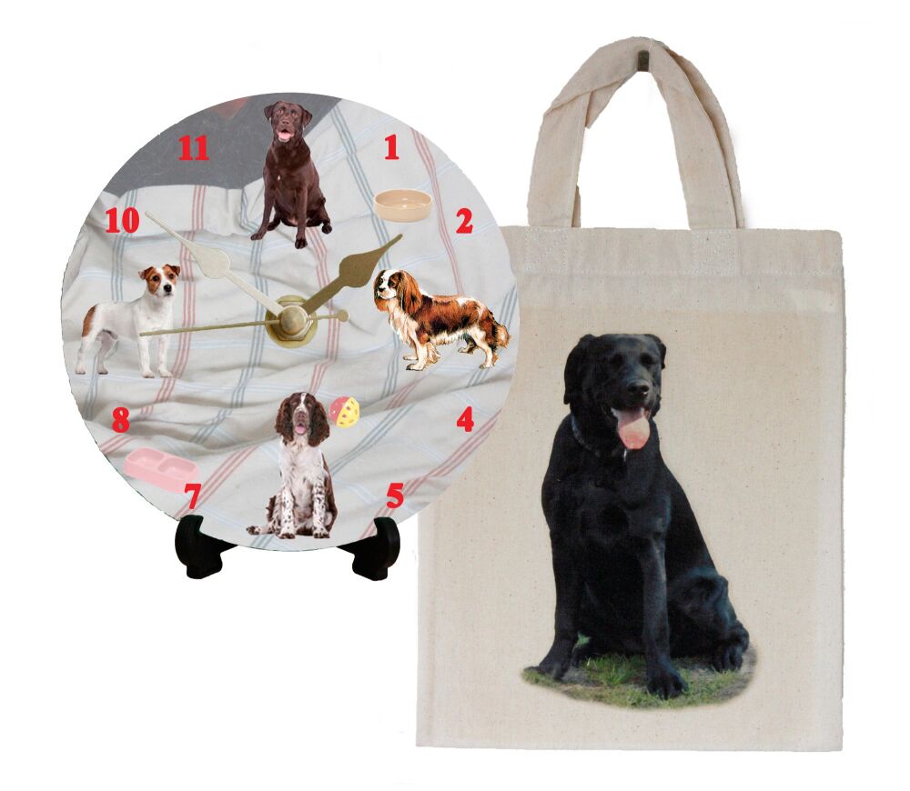 Dogs (Black Labrador)