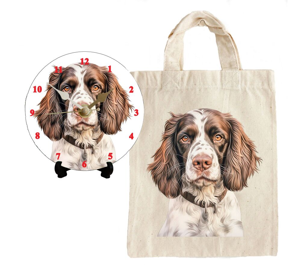 English Springer Spaniel