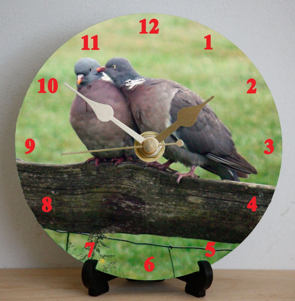 Pigeons