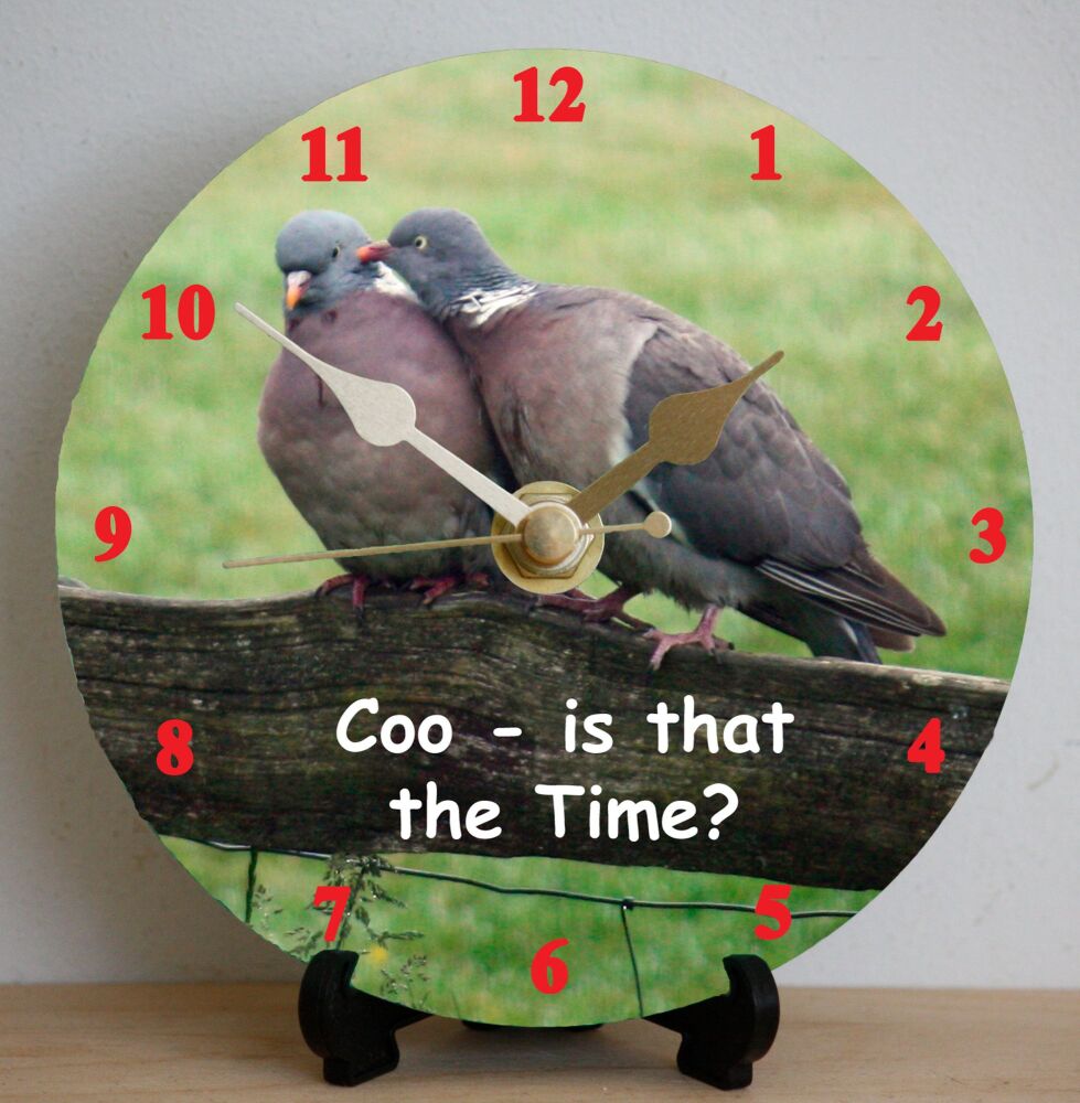 Pigeons (2)
