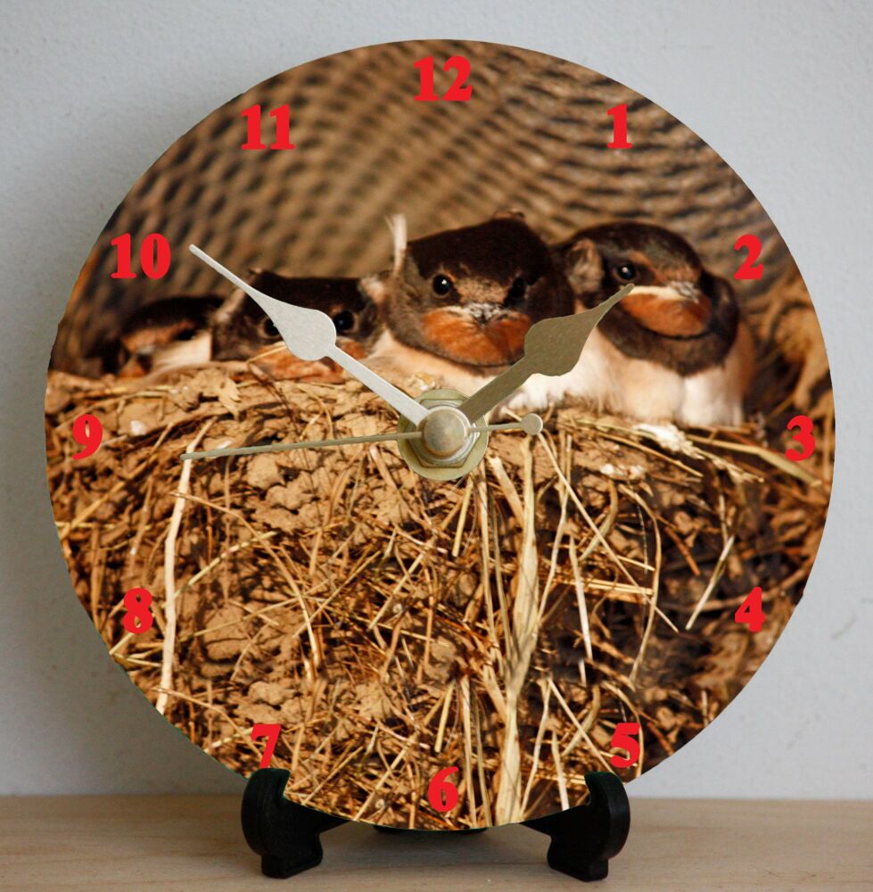 Swallows