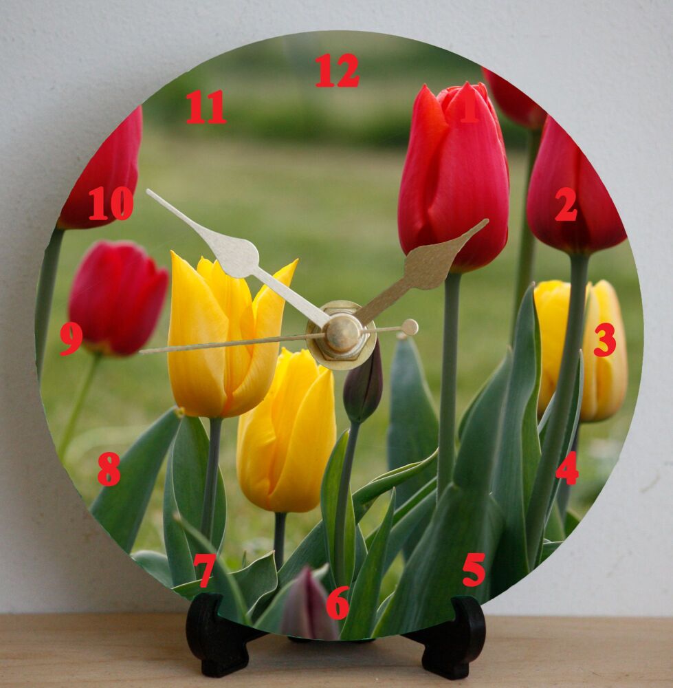 Tulips
