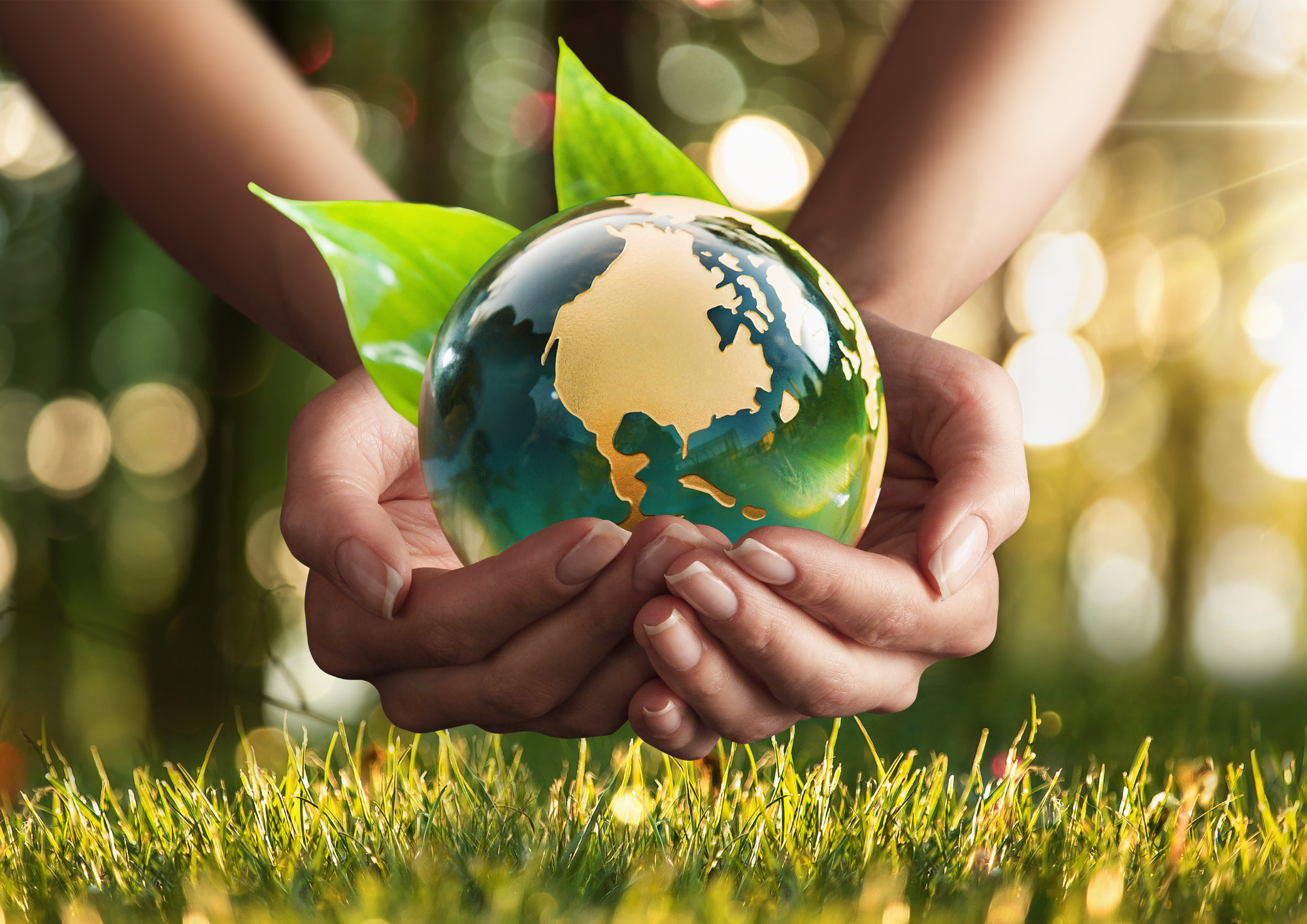 Environmental pledge Pepper Creates