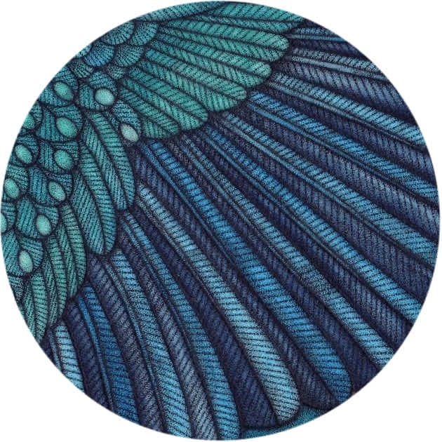 Kingfisher Wing Detail