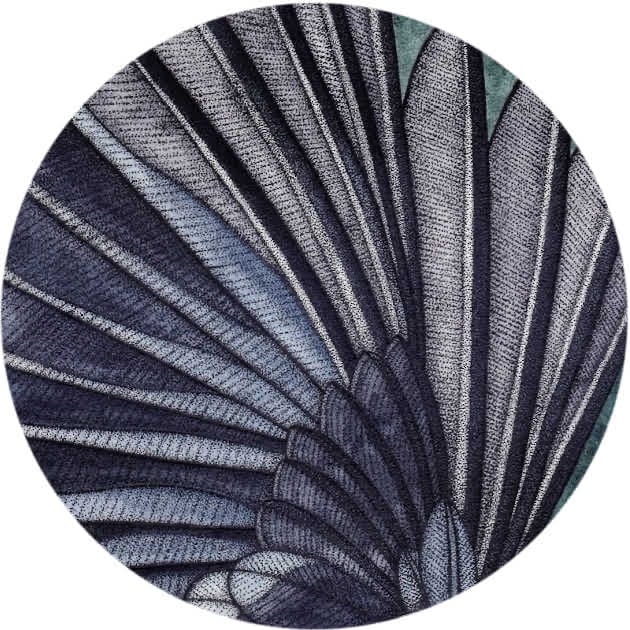 Bullfinch Wing Detail