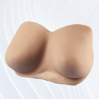 APOF Practice Bust (without Nipples)