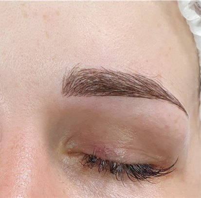 Microblading Brow Online Course