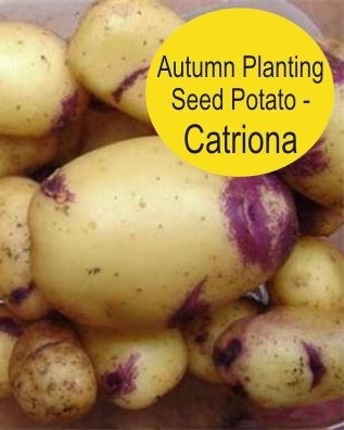 CATRIONA