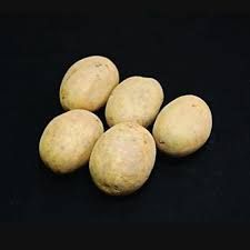 NADINE SEED POTATOES, 2ND EARLY