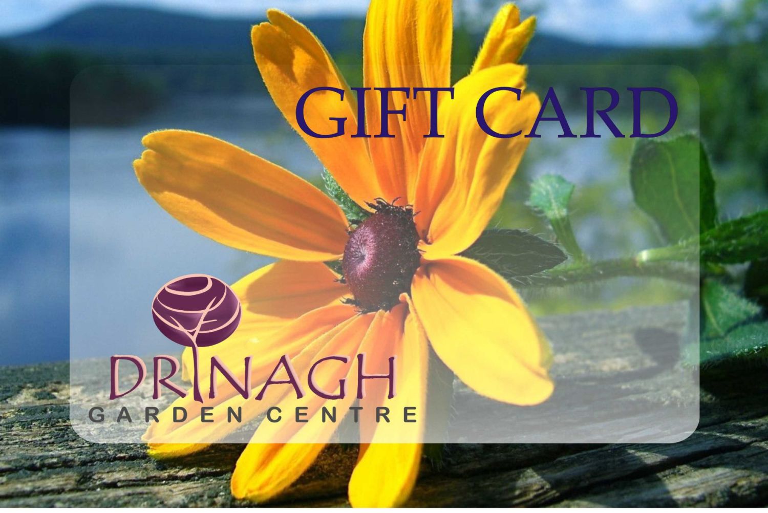 GIFT CARD Drinagh Garden Centre Online Garden Shop