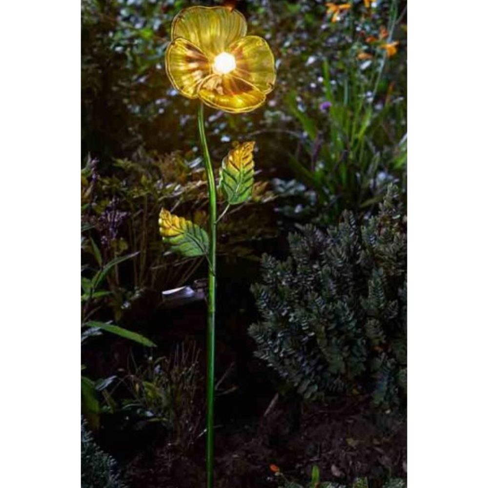 Solar Flower - Yellow Pansy