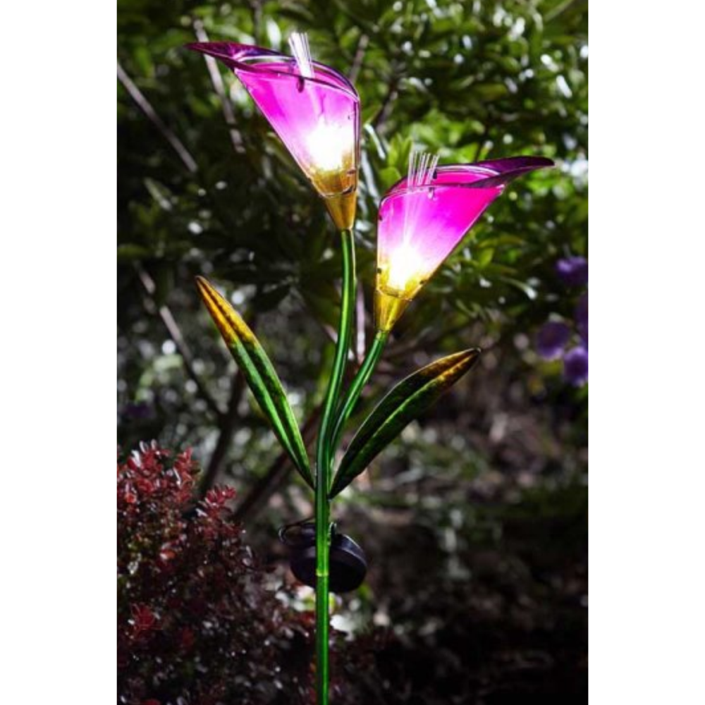 Solar Flower - Lilly