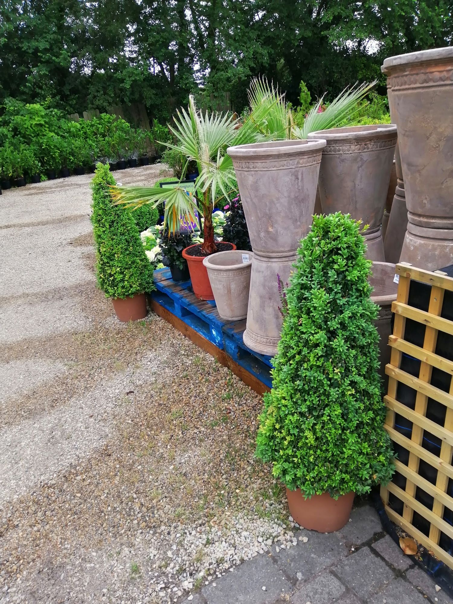outdoor plants area