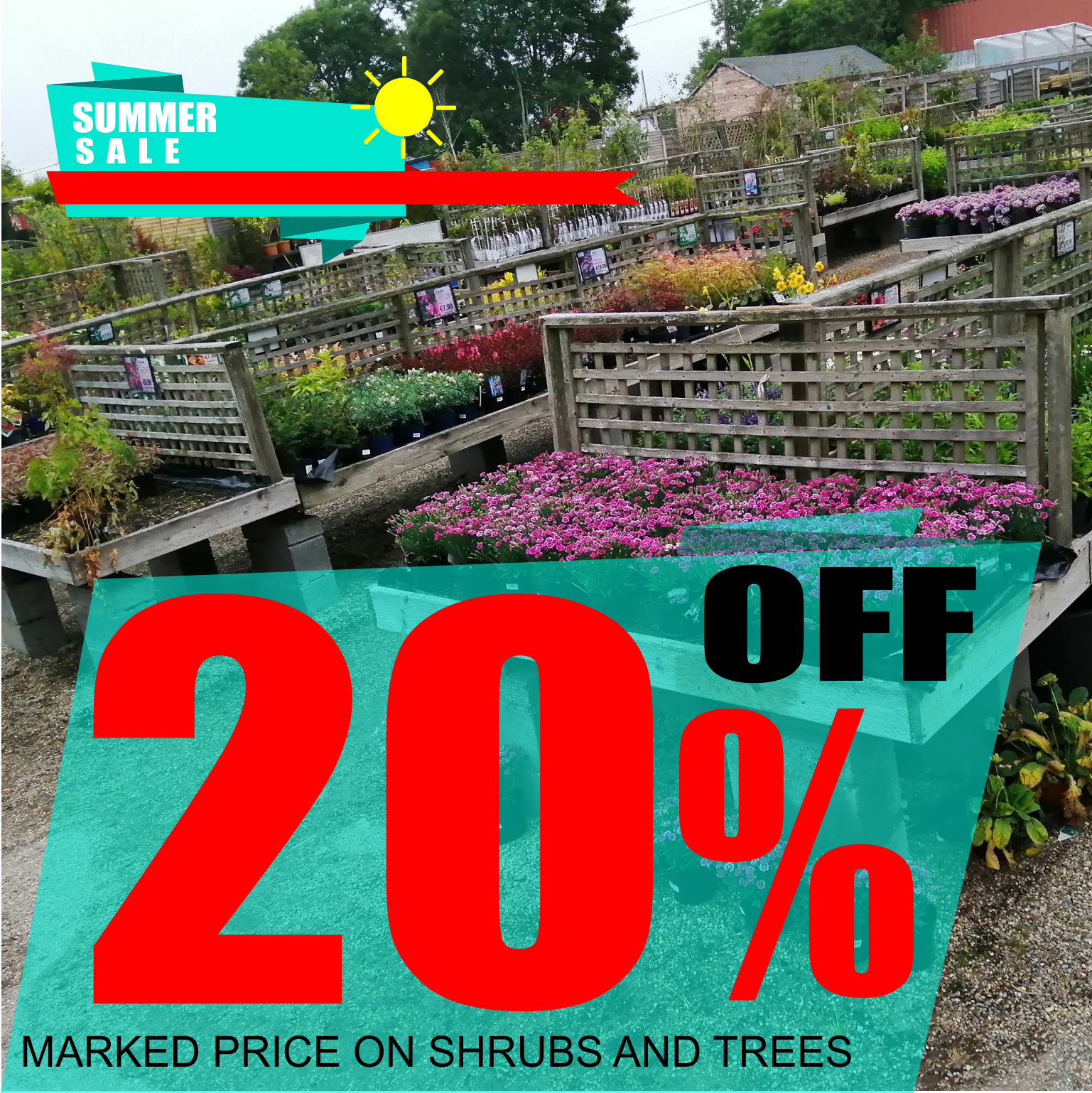 Drinagh Garden Centre supplying plants ,flowers and Garden Furniture