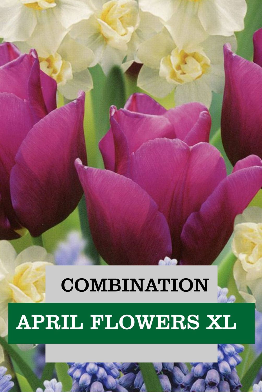 COMBINATION APRIL FLOWERS XL
