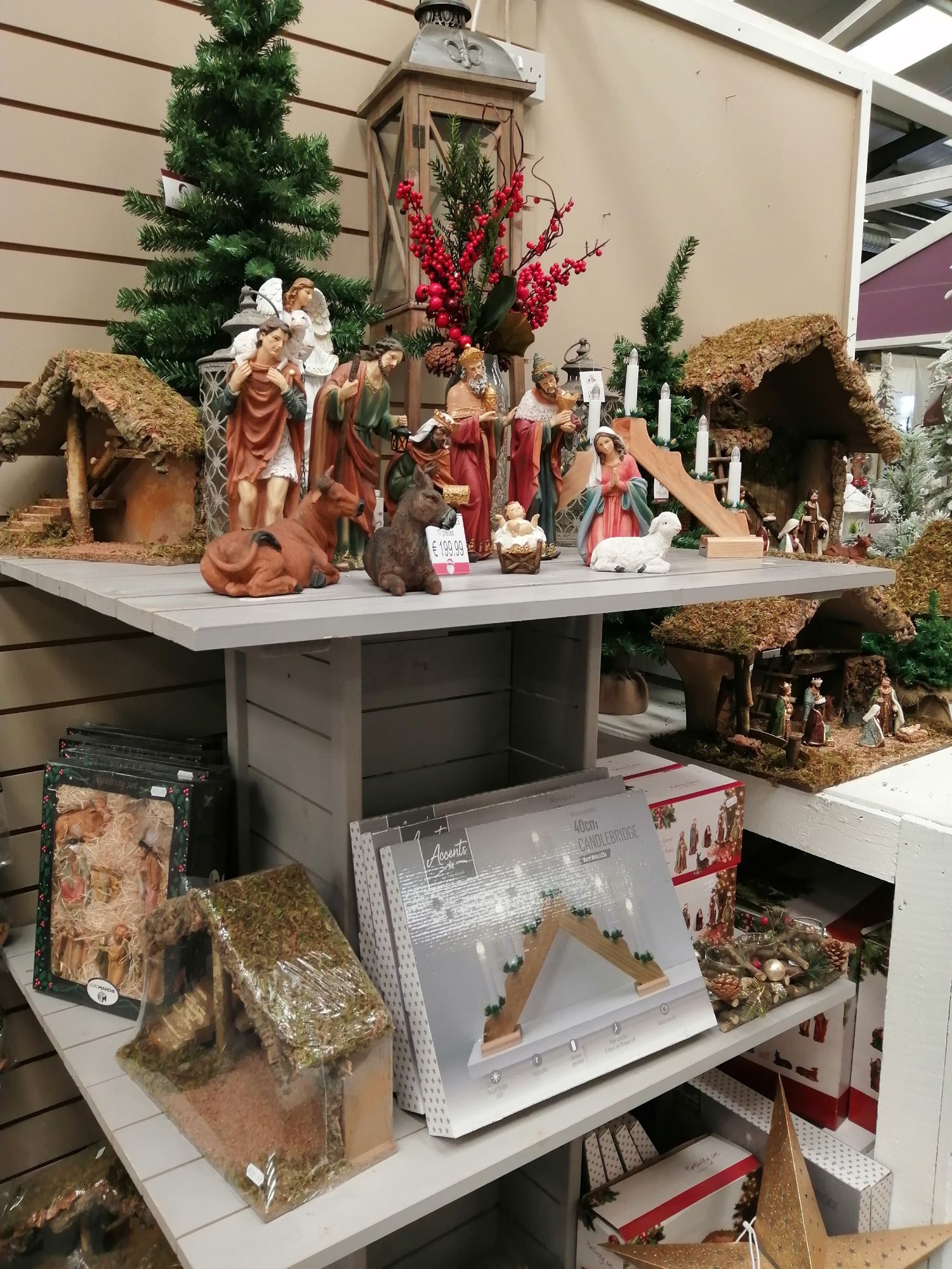 Drinagh Garden Centre supplying plants ,flowers and Garden Furniture