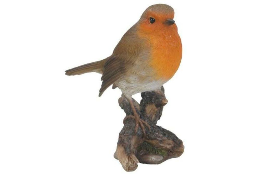 WBC ROBIN 