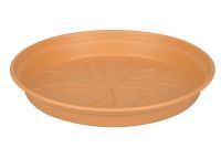 GREEN BASIC SAUCER 65 mild terra