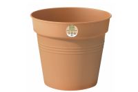 GREEN BASIC GROWPOT 11 mild terra