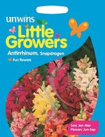 Little Growers Antirrhinum Snapdragon