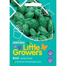 Little Growers Basil Sweet