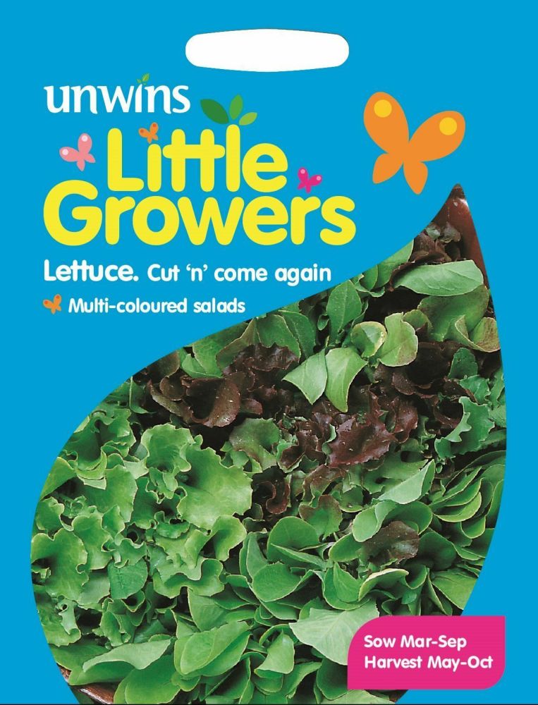 Little Growers Lettuce Cut n' Come Again