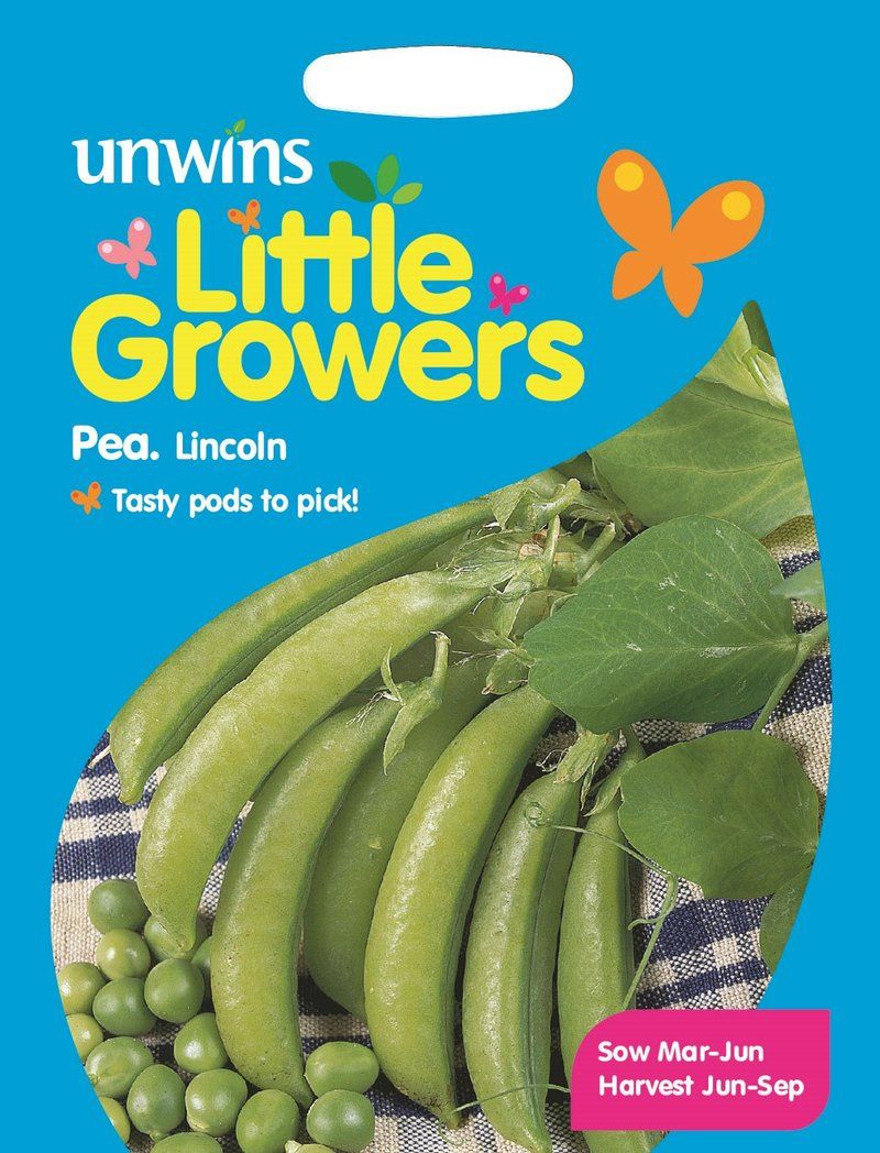 Little Growers Pea Lincoln