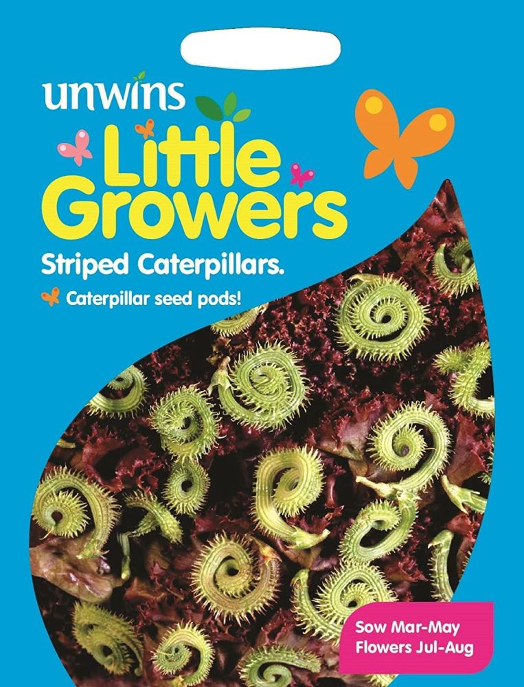 Little Growers Striped Caterpillars