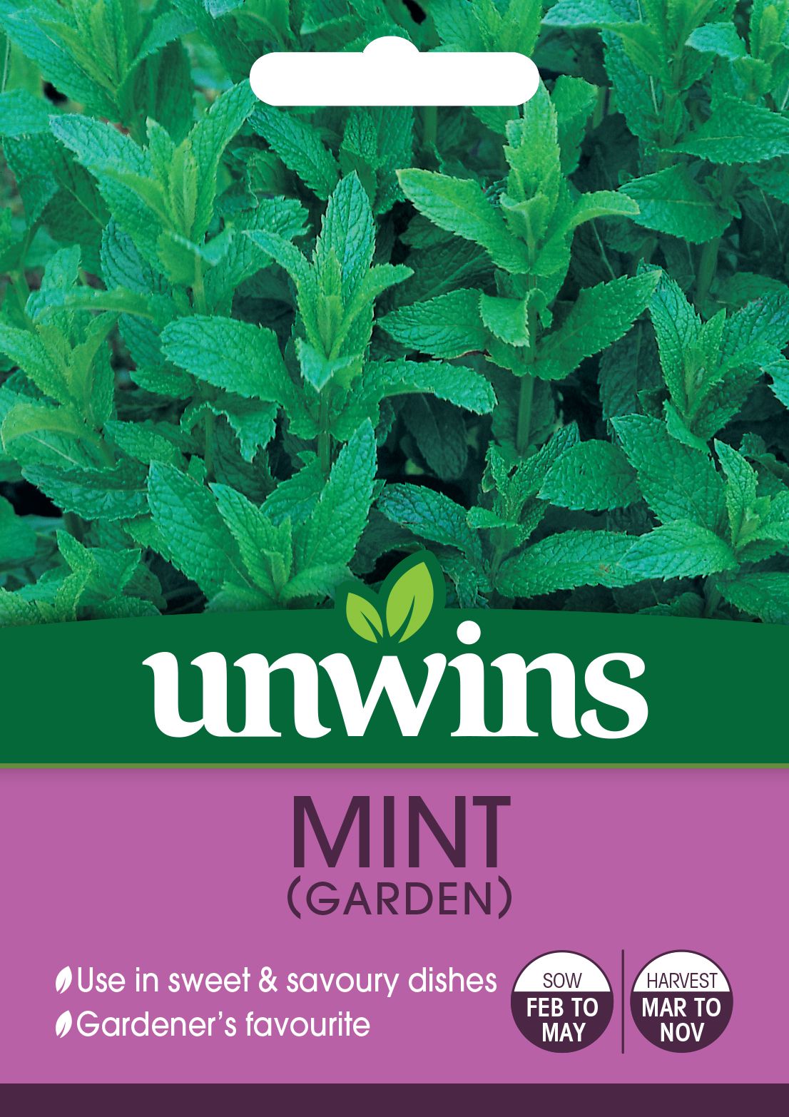 Herb Mint (Garden)