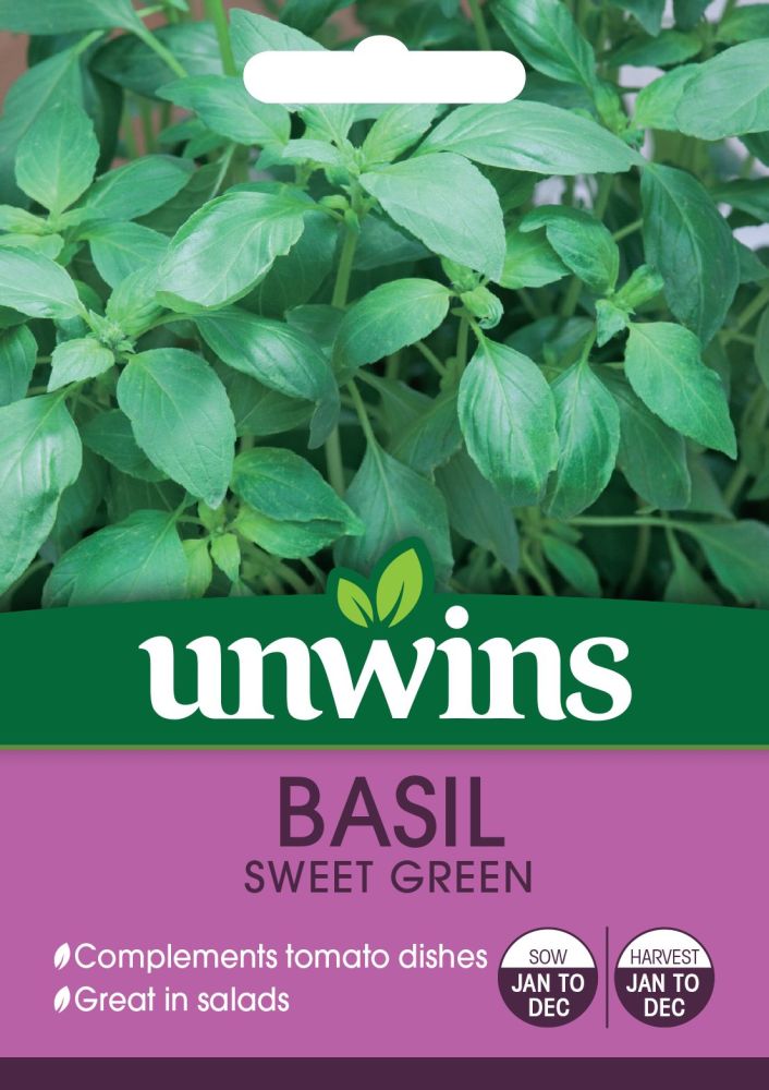 Herb Basil Sweet Green