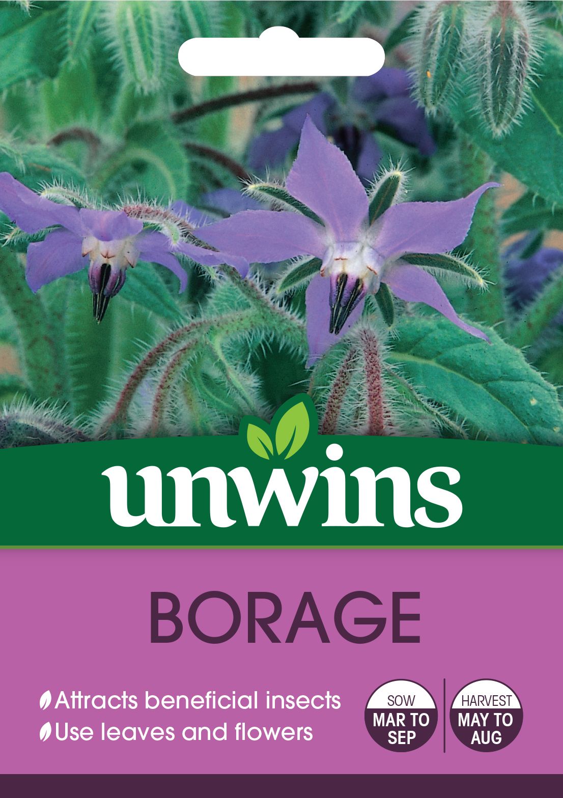 Herb Borage 