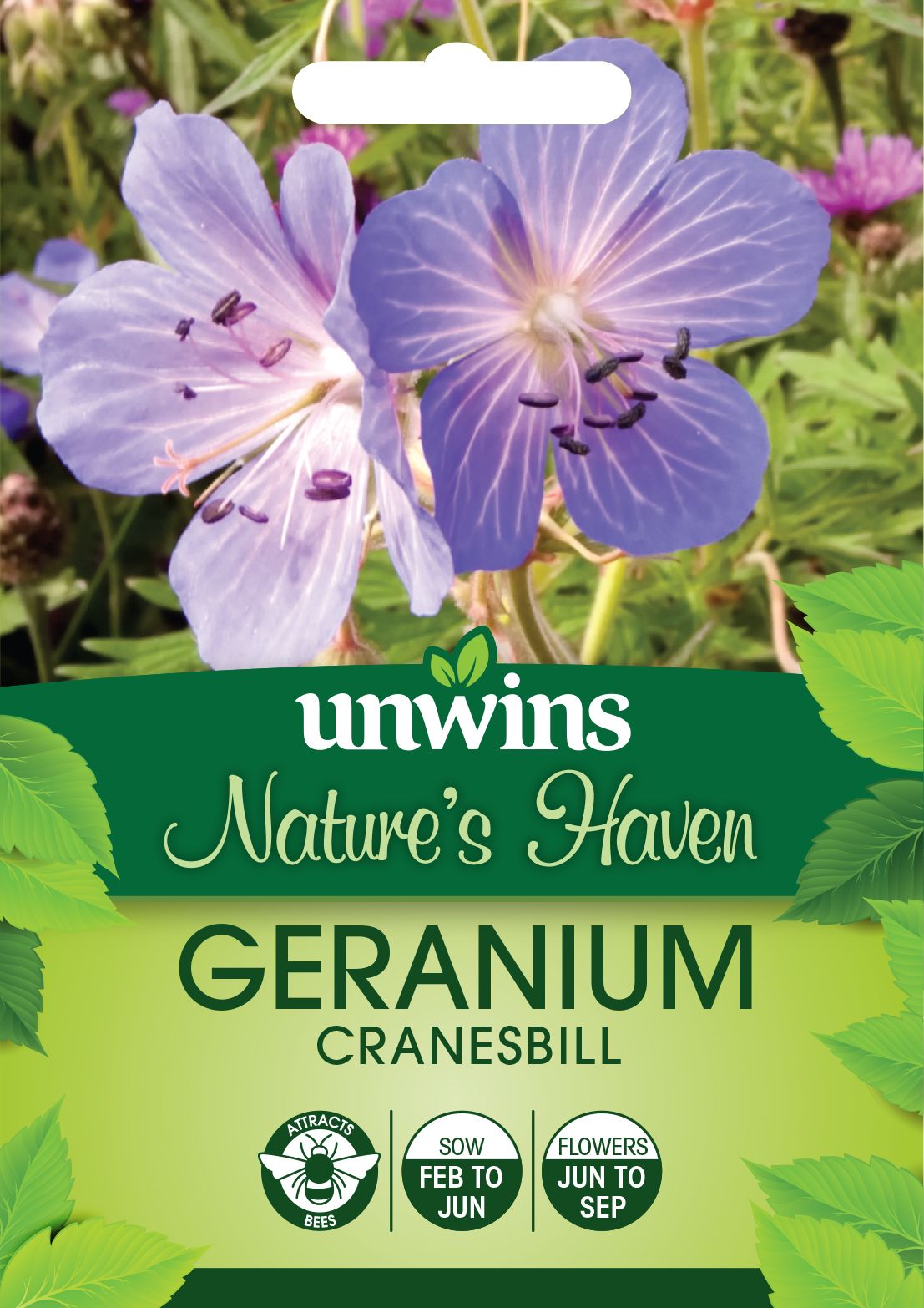 NH Cranesbill Geranium
