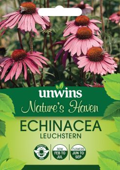 NH Echinacea Leuchstern