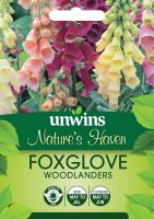 NH Foxglove Woodlanders