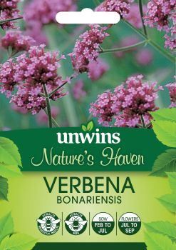 NH Verbena Bonariensis
