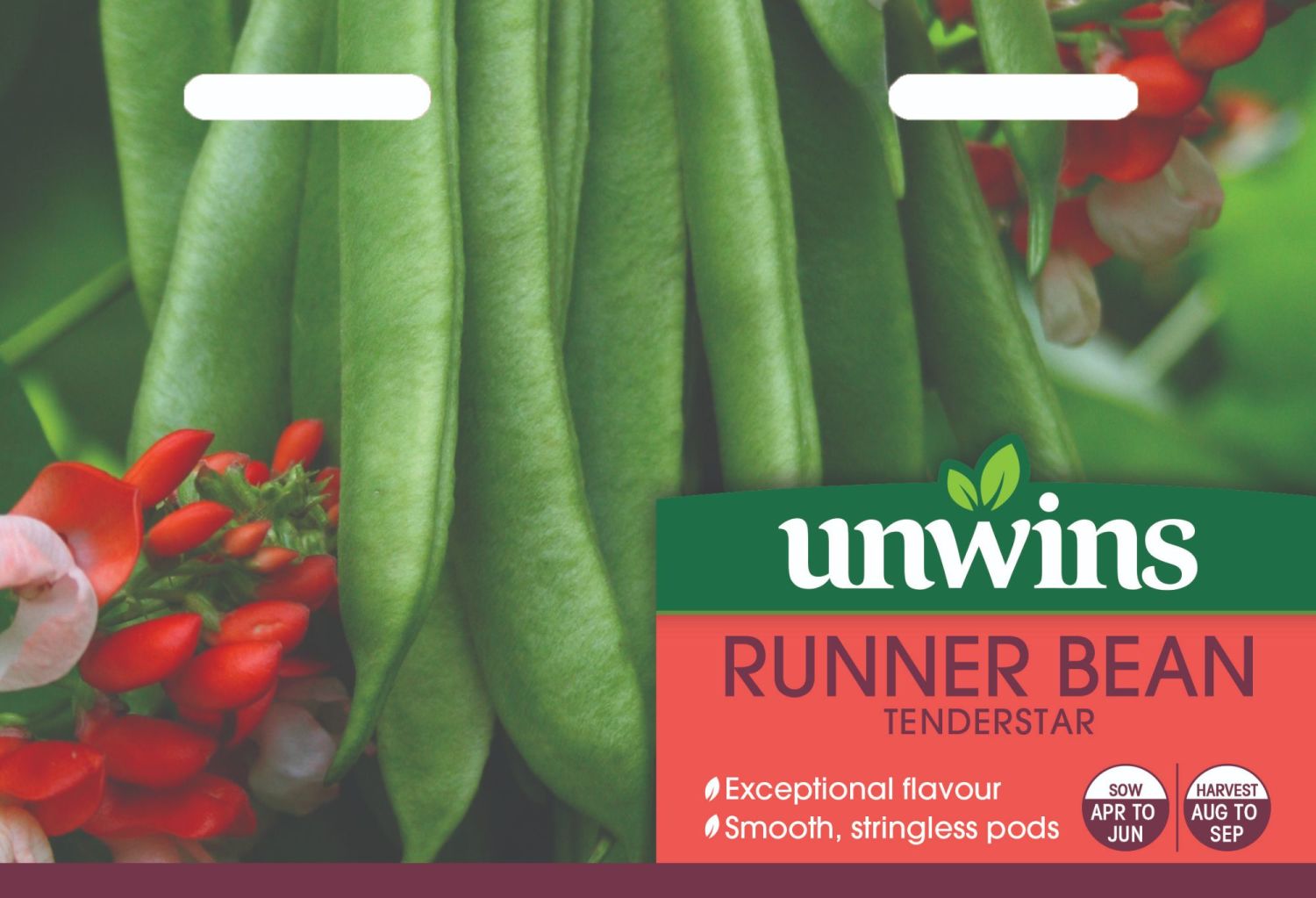 Pea and bean seed for sale ,wexford ,Ireland