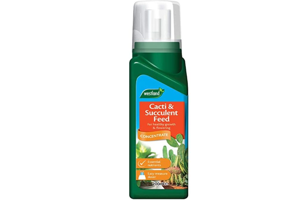 Cacti & Succulent feed concentrate 200ml