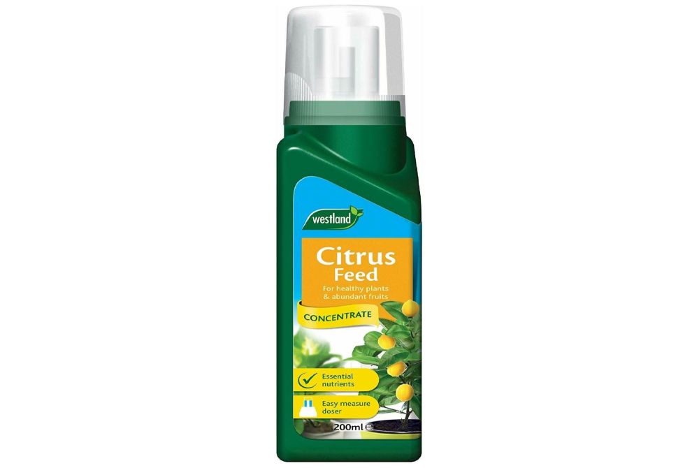 Citrus Feed Concentrate - 200ml