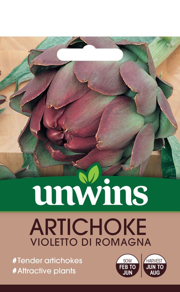 Artichoke Violetto di Romagna