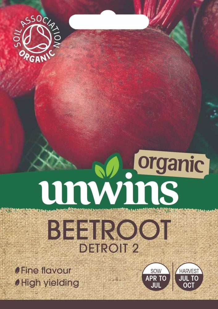 Beetroot (Round) Detroit 2 (Organic)
