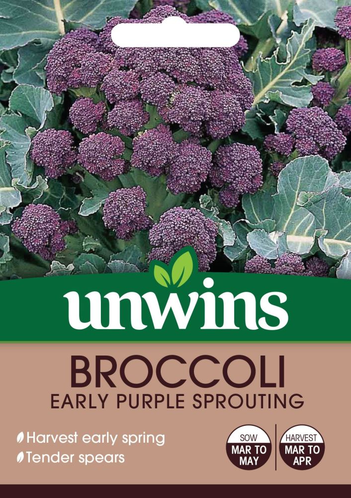 Broccoli (Sprouting) Early Purple Sprouting