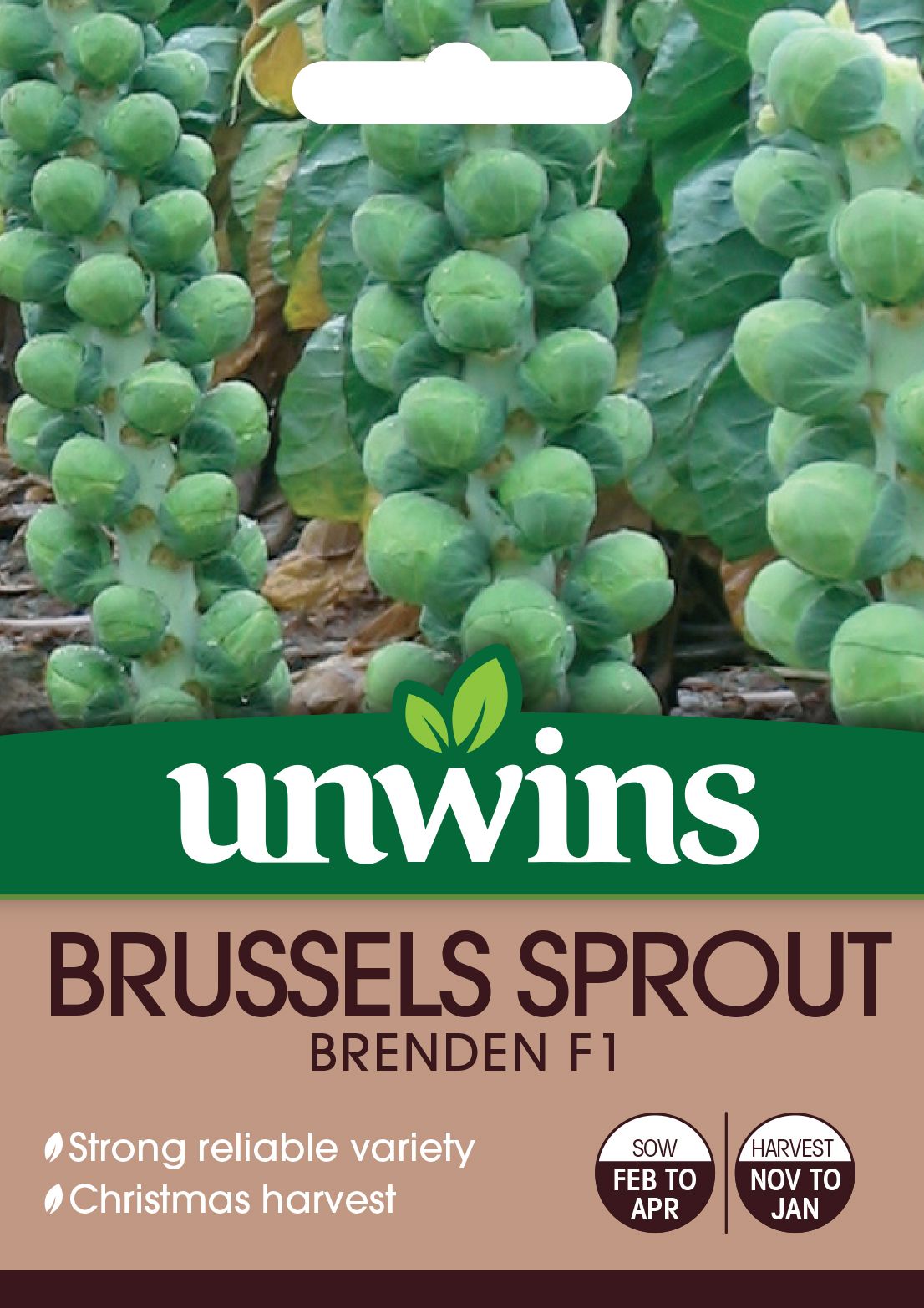 Brussels Sprout Brenden F1