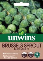 Brussels Sprout Maximus F1