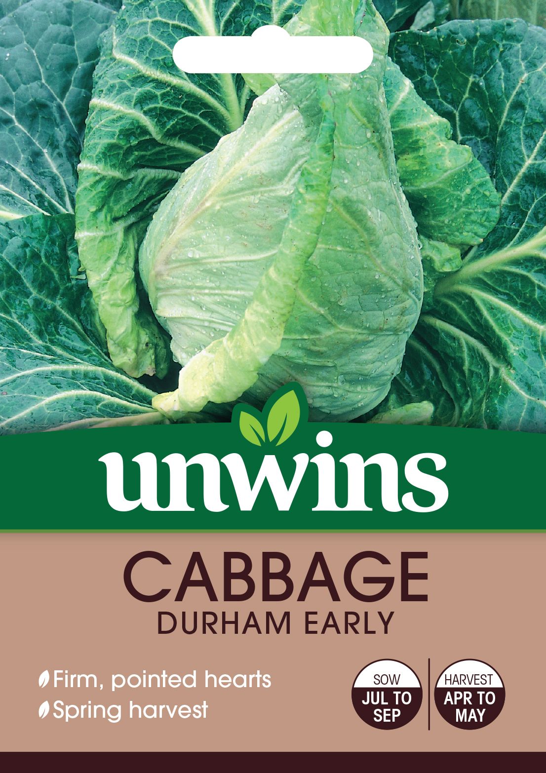 Cabbage (Pointed) Durham Early