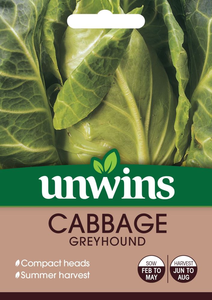 Cabbage (Pointed) Greyhound