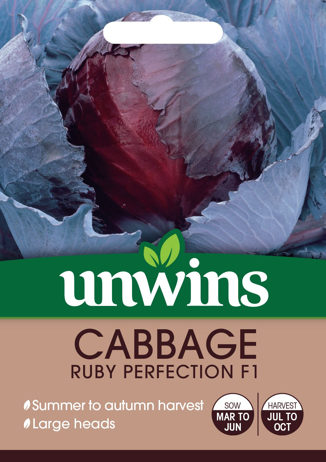 Cabbage (Red Round) Ruby Perfection F1