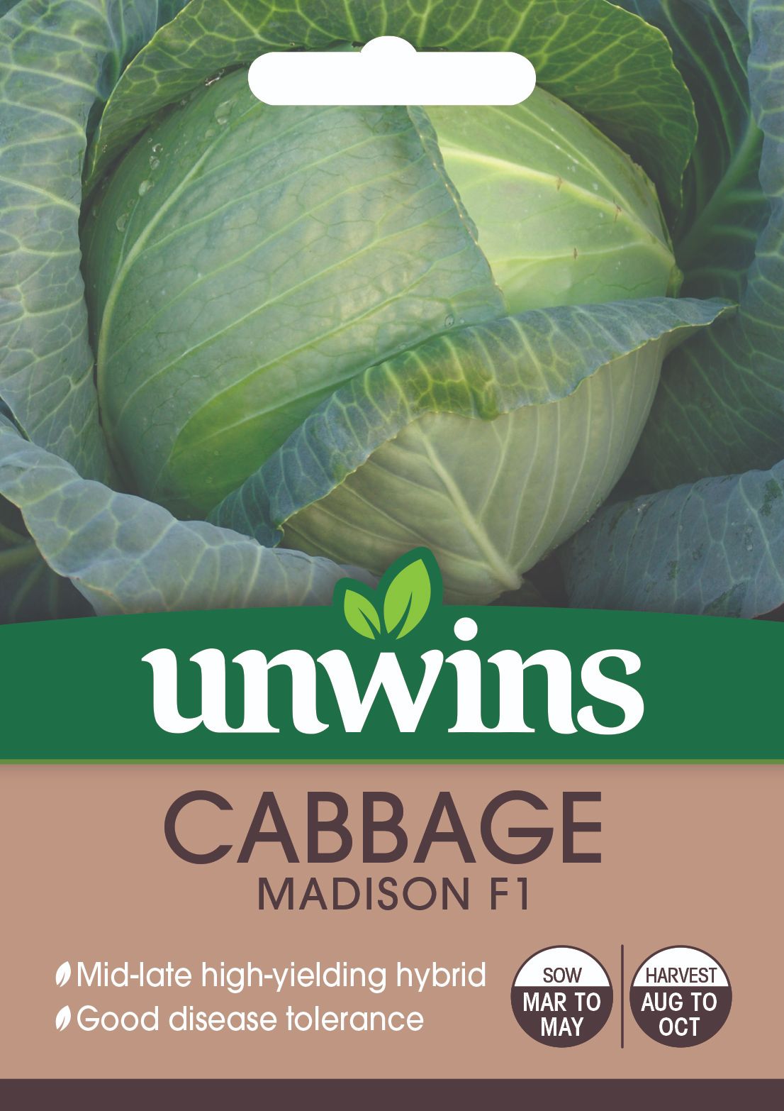 Cabbage (Round)  Madison F1 